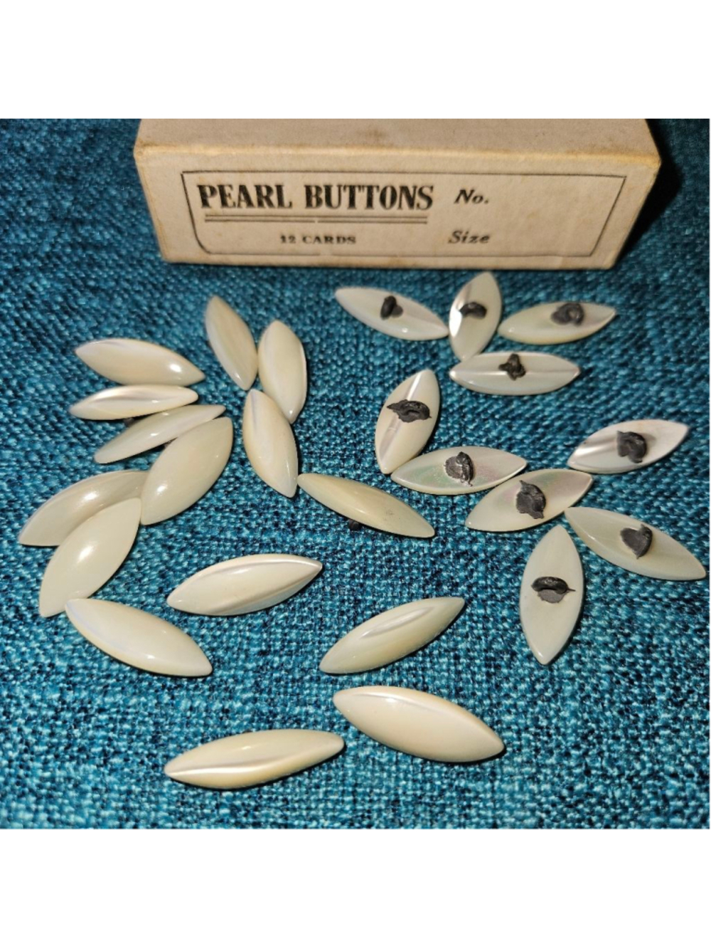 Mother of Pearl Irodecent Vintage Buttons Shank Lot of 6 Victorian Art Nouveau